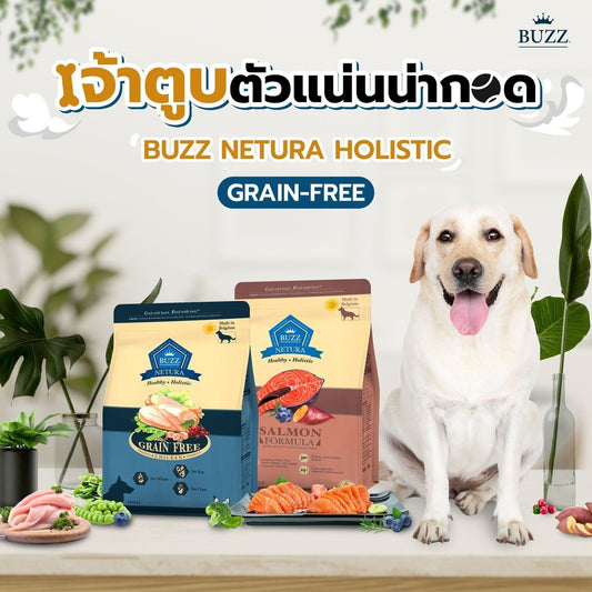 Buzz Netura Dog อาหารสุนัข บัซซ์ เกรดโฮลิสติก เกรนฟรี สำหรับสุนัขโตทุกสายพันธุ์ ขนาด 2.5 กิโลกรัม
