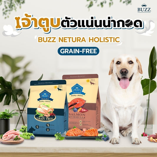 Buzz Netura Dog อาหารสุนัข บัซซ์ เกรดโฮลิสติก เกรนฟรี สำหรับสุนัขโตทุกสายพันธุ์ ขนาด 800 กรัม